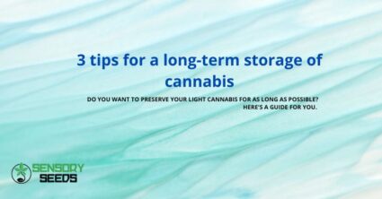 3 tips for a long-term storage of cannabis