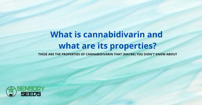 What is cannabidivarin and what are its properties?