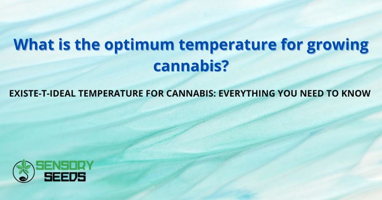 What is the optimum temperature for growing cannabis?