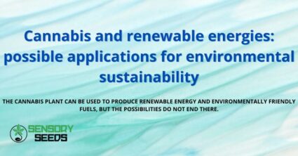 Cannabis and renewable energies