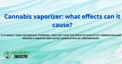Cannabis vaporizer: what effects can it cause?