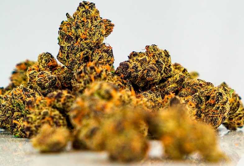 The best heat-resistant cannabis strains