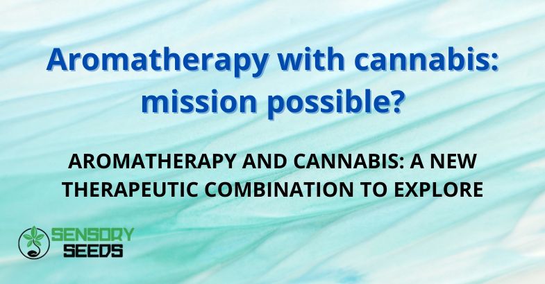 Aromatherapy with cannabis: mission possible?