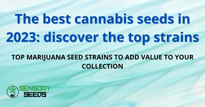 The best cannabis seeds in 2023: discover the top strains