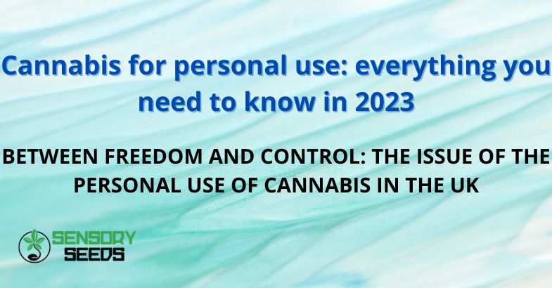 Cannabis for personal use: everything you need to know in 2023