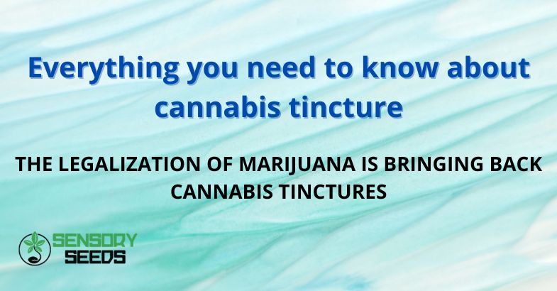 Everything you need to know about cannabis tincture