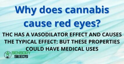 Why does cannabis cause red eyes?