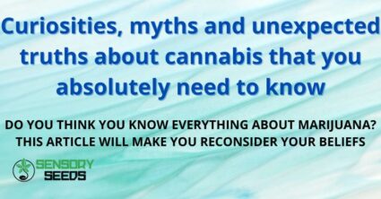 Curiosities, myths and unexpected truths about cannabis