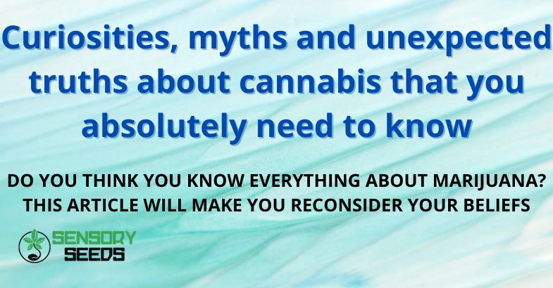 Curiosities, myths and unexpected truths about cannabis