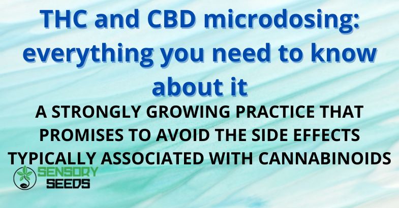 THC and CBD microdosing: everything you need to know about it
