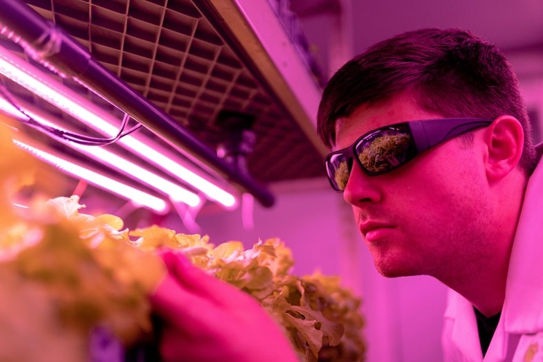 Benefits and Limitations of UV Light Use