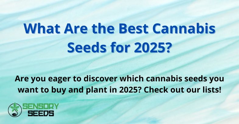 What Are the Best Cannabis Seeds for 2025?