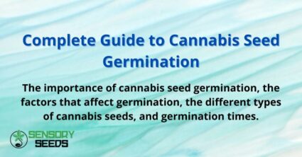 Complete Guide to Cannabis Seed Germination
