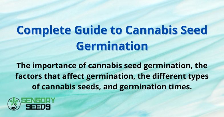 Complete Guide to Cannabis Seed Germination