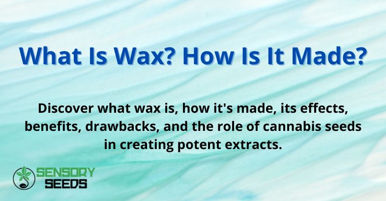 What Is Wax? How Is It Made?