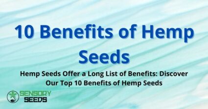 10 Benefits of Hemp Seeds