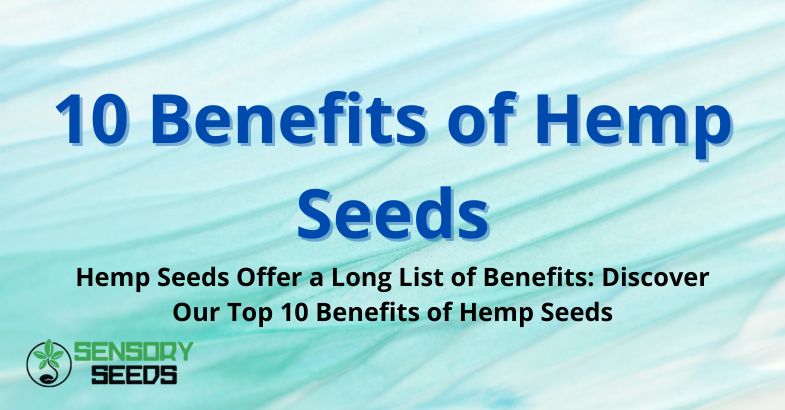 10 Benefits of Hemp Seeds