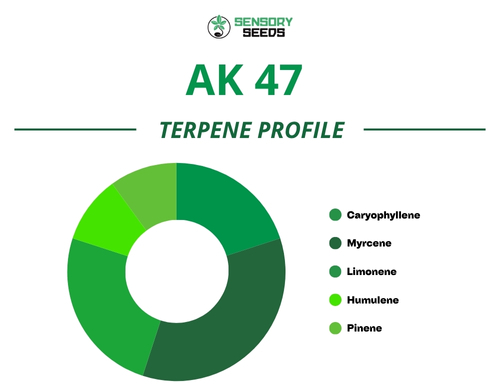 Pie chart of the terpene profile of the AK 47 strain