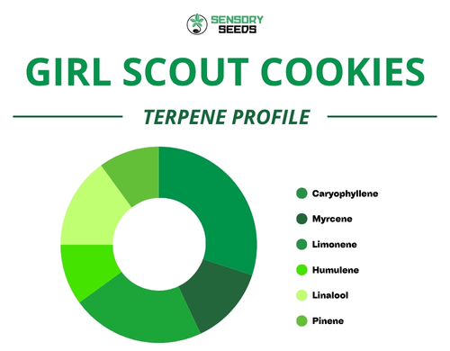 Pie chart of the terpene profile of the Girl Scout Cookiesstrain