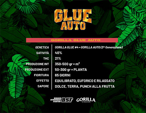 Full product description of Gorilla Glue Auto