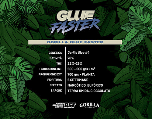 Full product description of Gorilla Glue Faster
