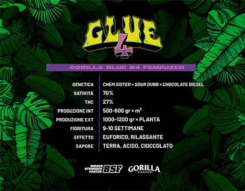 Official logo of Gorilla Glue Fem