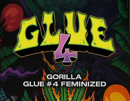 Official logo of Gorilla Glue Fem