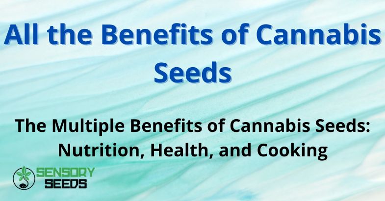 All the Benefits of Cannabis Seeds