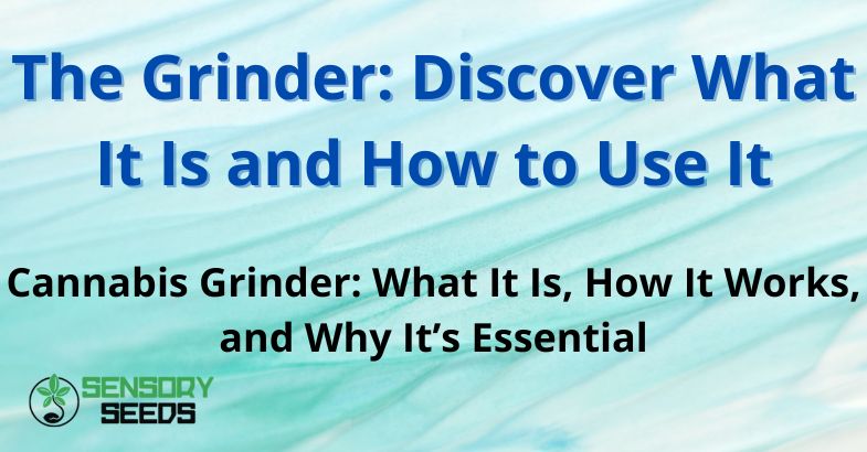 The Grinder: Discover What It Is and How to Use It