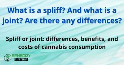 What is a spliff? And what is a joint? Are there any differences?