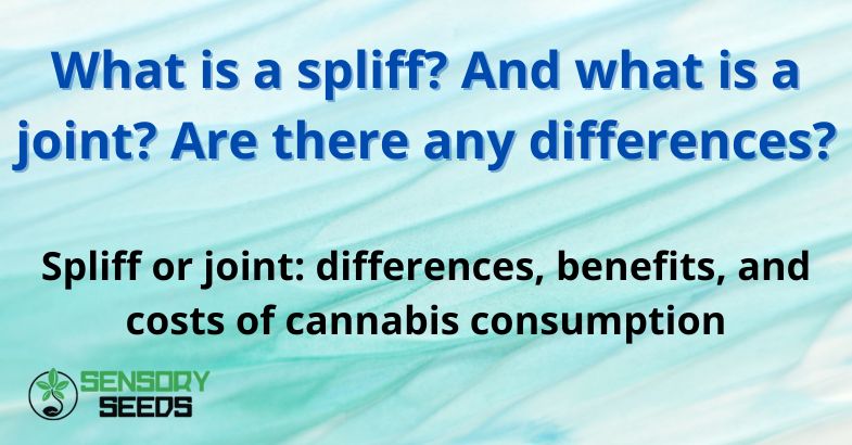 What is a spliff? And what is a joint? Are there any differences?