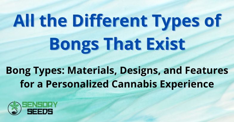 All the Different Types of Bongs That Exist