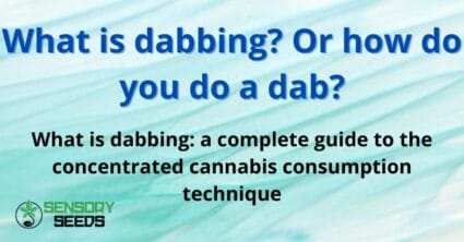 What is dabbing?