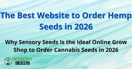 The Best Website to Order Hemp Seeds in 2026