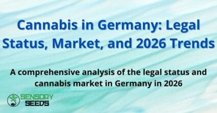 Cannabis in Germany: Legal Status, Market, and 2026 Trends
