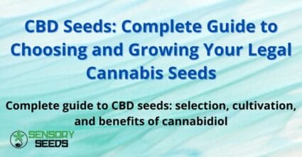 CBD Seeds: Complete Guide to Choosing and Growing Your Legal Cannabis Seeds