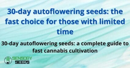 30-day autoflowering seeds: the fast choice for those with limited time