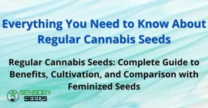 Everything You Need to Know About Regular Cannabis Seeds