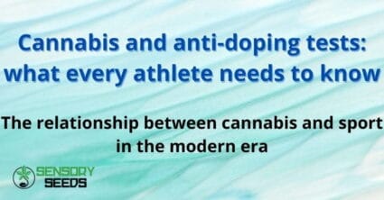 Cannabis and anti-doping tests: what every athlete needs to know