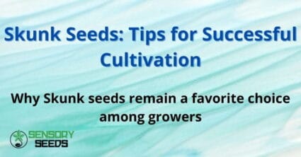Skunk Seeds: Tips for Successful Cultivation